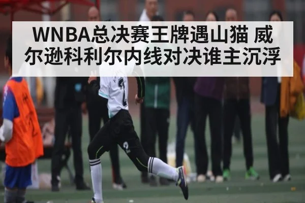 WNBA总决赛王牌遇山猫 威尔逊科利尔内线对决谁主沉浮